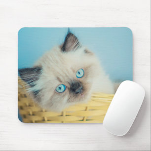 Mousepad Bebês Mais Pobres Himalaias — Ponto de foca