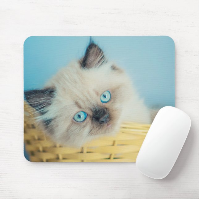 Mousepad Bebês Mais Pobres | Himalaias — Ponto de foca (Com mouse)