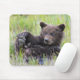 Mousepad Bebês Mais Pobres Jogo De Urso Castanho