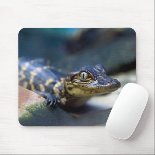 Mousepad Bebês Mais Pobres Jovem Alligador