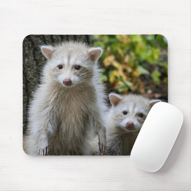 Mousepad Bebês Mais Pobres | Jovem clone loira (Com mouse)