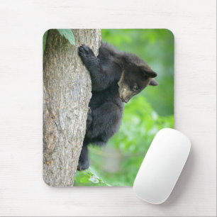 Mousepad Bebês Mais Pobres Jovem Urso Negro