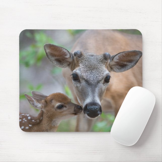 Mousepad Bebês Mais Pobres | Key Deer Stag & Fawn (Com mouse)