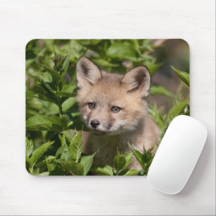 Mousepad Bebês Mais Pobres Kit Fox