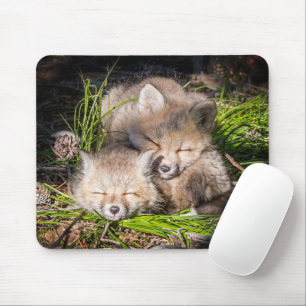Mousepad Bebês Mais Pobres Kits De Raposa Vermelha Para B