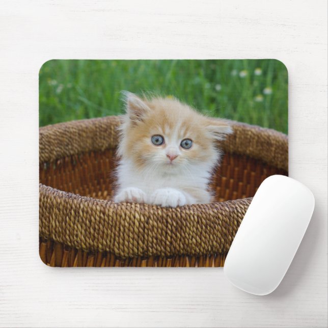 Mousepad Bebês Mais Pobres | Kitten Azul (Com mouse)
