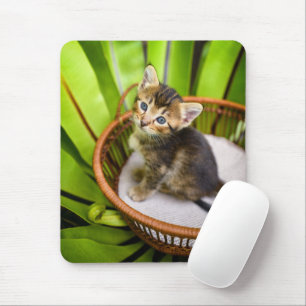 Mousepad Bebês Mais Pobres Kitten no cesto