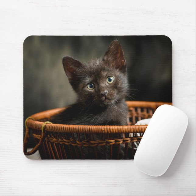 Mousepad Bebês Mais Pobres | Kitten no cesto (Com mouse)
