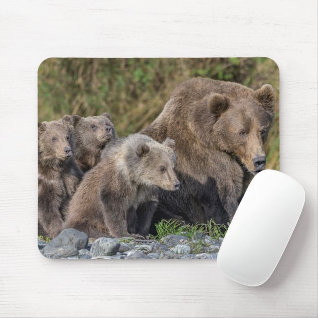 Mousepad Bebês Mais Pobres | Kodiak Mama Bear & Cubs (Com mouse)