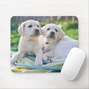 Mousepad Bebês Mais Pobres   Labrador Amarelo Retrievers