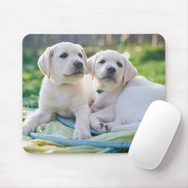 Mousepad Bebês Mais Pobres | Labrador Amarelo Retrievers (Com mouse)