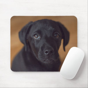 Mousepad Bebês Mais Pobres Labrador Preto