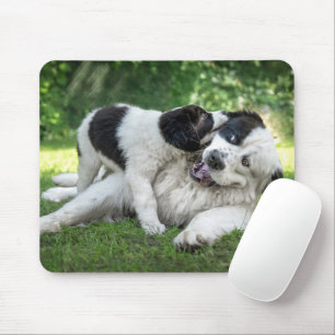 Mousepad Bebês Mais Pobres   Landseer Puppy