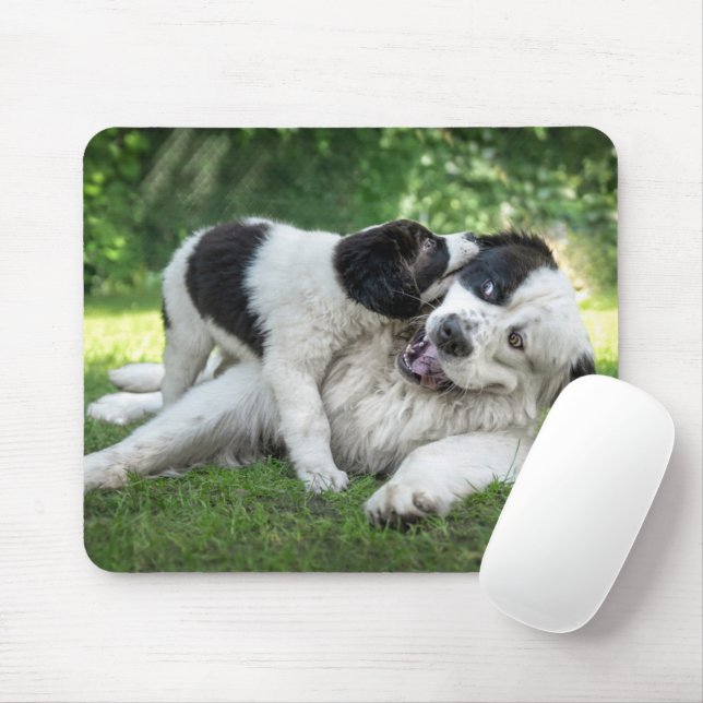 Mousepad Bebês Mais Pobres | Landseer Puppy (Com mouse)