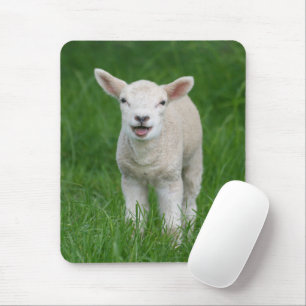 Mousepad Bebês Mais Pobres Lil Lamb