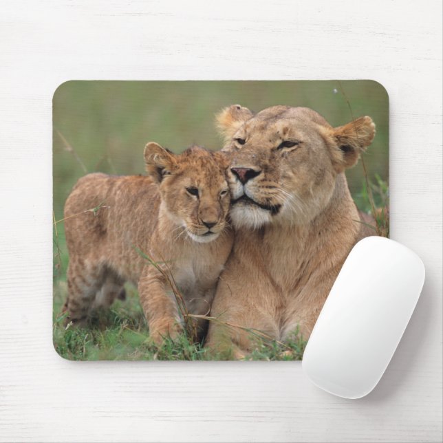 Mousepad Bebês Mais Pobres | Lion Cub & Mãe (Com mouse)