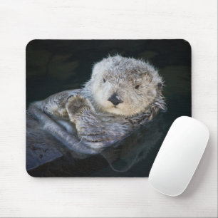 Mousepad Bebês Mais Pobres Lontra marítima flutuante