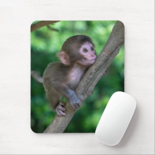 Mousepad Bebês Mais Pobres   Macaco Bebê
