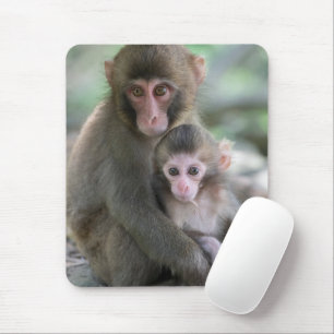 Mousepad Bebês Mais Pobres   Macacos Japoneses