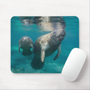 Mousepad Bebês Mais Pobres Manateio e Bebê