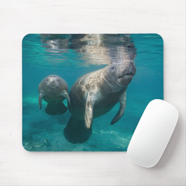 Mousepad Bebês Mais Pobres | Manateio e Bebê (Com mouse)