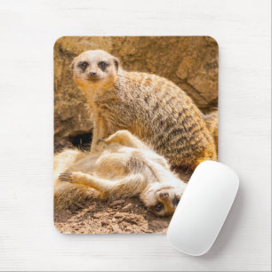 Mousepad Bebês Mais Pobres   Meerkats para Jovens