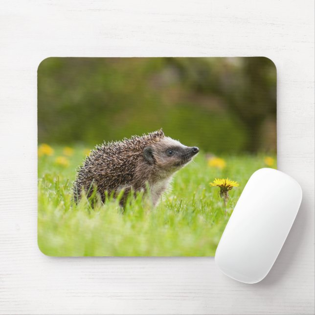 Mousepad Bebês Mais Pobres | Nevoeiro europeu (Com mouse)