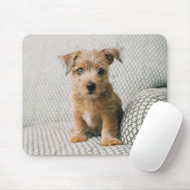 Mousepad Bebês Mais Pobres | Norfolk Terrier Puppy (Com mouse)