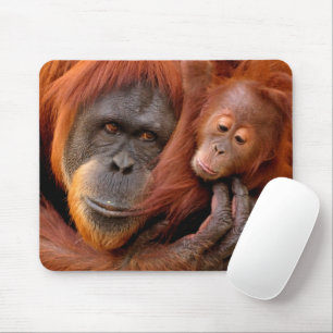 Mousepad Bebês Mais Pobres   Orangutan Mãe e Bebê