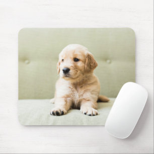 Mousepad Bebês Mais Pobres Ouro Retriever Puppy