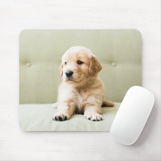 Mousepad Bebês Mais Pobres | Ouro Retriever Puppy (Com mouse)