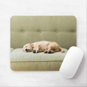 Mousepad Bebês Mais Pobres Ouro Retriever Puppy 2