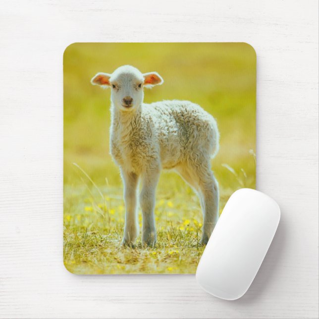 Mousepad Bebês Mais Pobres | Ovinos Jovens (Com mouse)