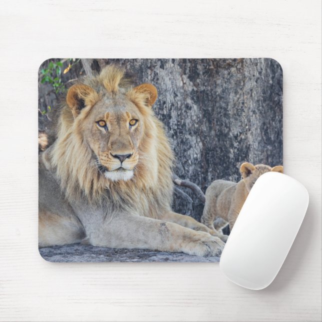 Mousepad Bebês Mais Pobres | Pai e cubo de leão (Com mouse)