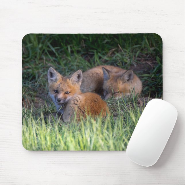 Mousepad Bebês Mais Pobres | Par de irmãos do kit de raposa (Com mouse)
