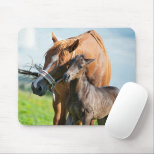 Mousepad Bebês Mais Pobres Pé Negra com a Mãe