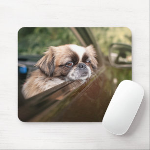 Mousepad Bebês Mais Pobres Pekingese Puppy no carro