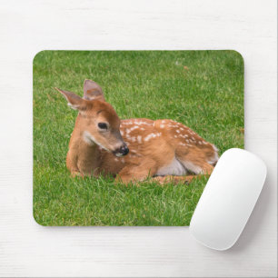 Mousepad Bebês Mais Pobres   Pequena Fawn