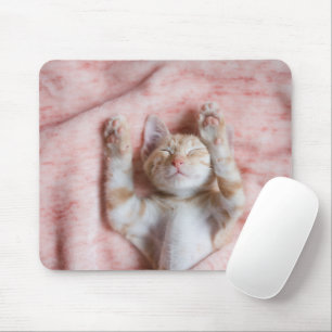 Mousepad Bebês Mais Pobres Pequeno Gato De Laranja