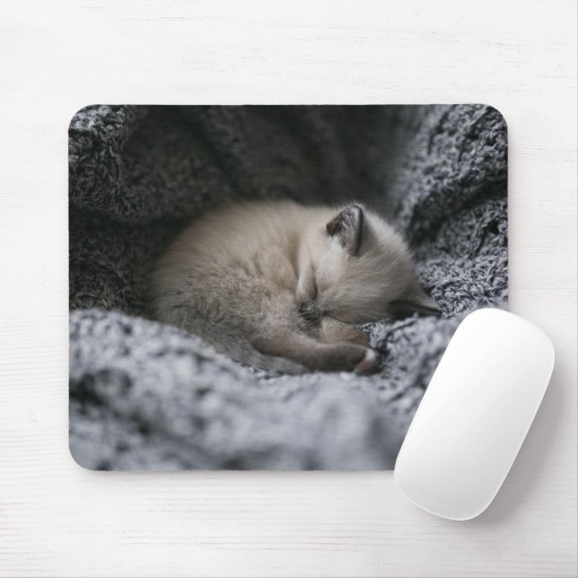 Mousepad Bebês Mais Pobres | Pequeno Gato Dormindo (Com mouse)