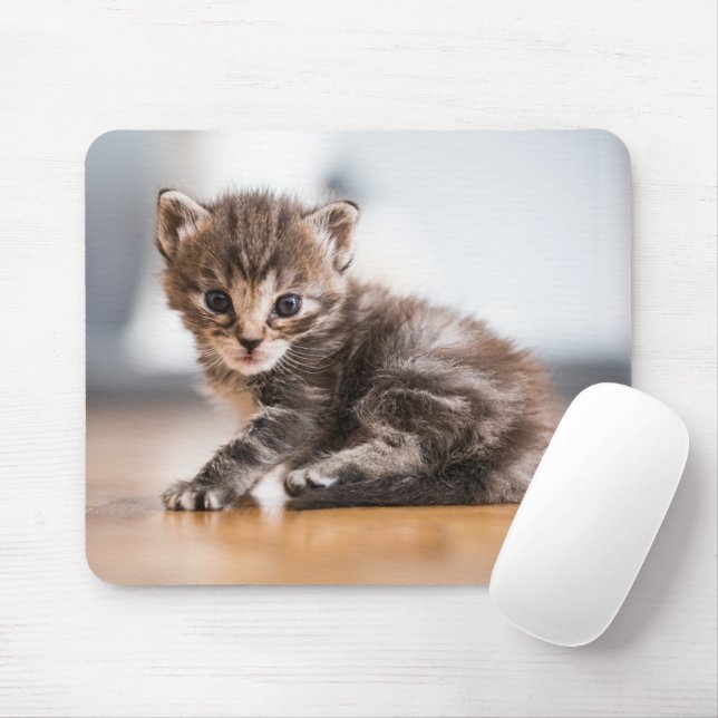 Mousepad Bebês Mais Pobres | Pequeno Tabby Kitten (Com mouse)