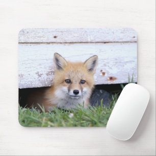 Mousepad Bebês Mais Pobres Pequim do Kit da Raposa Vermel