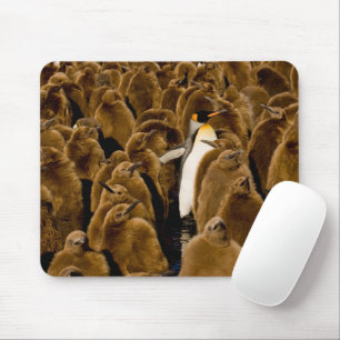 Mousepad Bebês Mais Pobres Pinguim Entre Jovens
