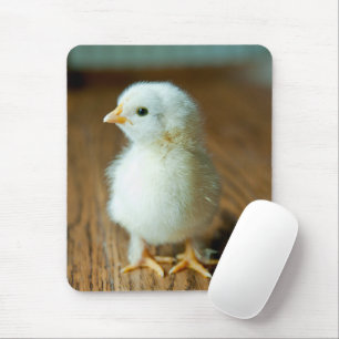 Mousepad Bebês Mais Pobres PINTINHO