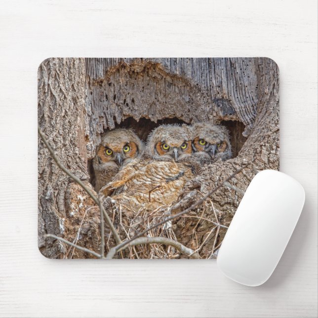 Mousepad Bebês Mais Pobres | PINTINHOS EXCELENTES (Com mouse)