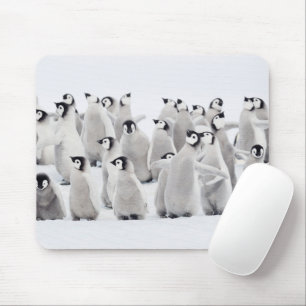 Mousepad Bebês Mais Pobres Pintinhos Imperadores Pinguins