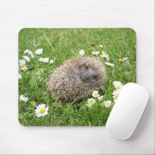 Mousepad Bebês Mais Pobres   Porco espanhol