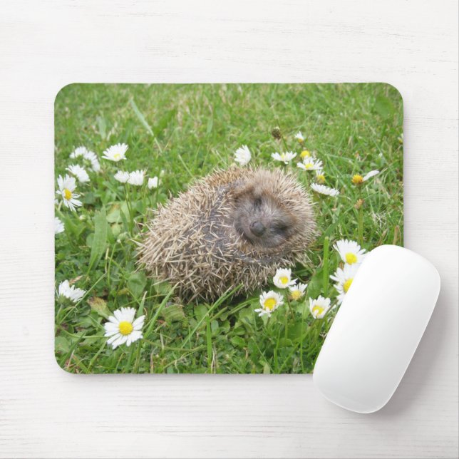 Mousepad Bebês Mais Pobres | Porco espanhol (Com mouse)