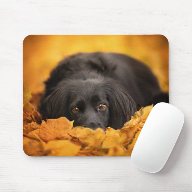 Mousepad Bebês Mais Pobres | Puppia Espanhola Negra (Com mouse)
