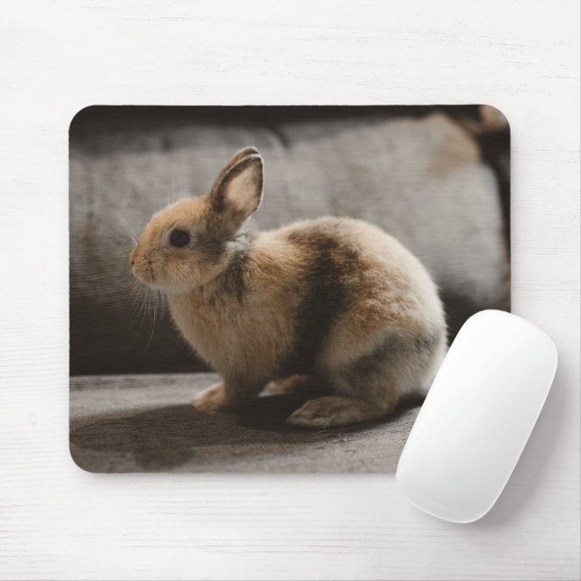 Mousepad Bebês Mais Pobres | Rabbit anão neerlandês (Com mouse)
